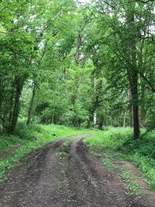 The Nut House - Squirrel Lane Lodges Ludlow