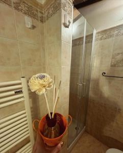 Double Room room in B&B Camere La Vite