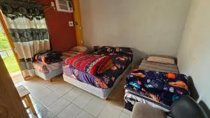 LOS CHOW CHOW - San Juan del Paraná