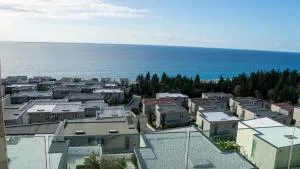 Palm Side Drymades - 德尔米