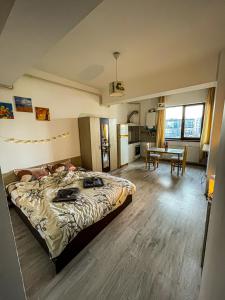 Cazare Iasi Palas Apartment