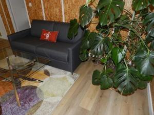 Appartements appartement au dessus d-une maison de famille : photos des chambres