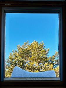 Apartman Dharma Zlatibor