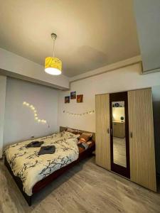 Cazare Iasi Palas Apartment