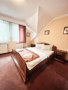 Standard Double Room room in Pensiunea Curtea Bavareza