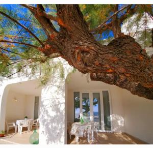 SEA FRONT, Gioia, Santa Maria al Bagno
