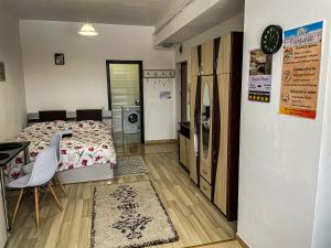 Cazare Iasi Palas Apartment