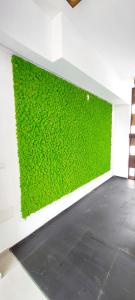 Appartamenti Jlune img77