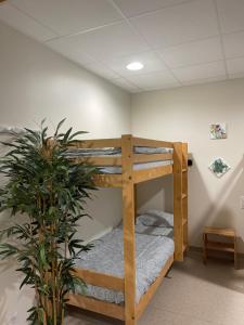 Auberges de jeunesse CLLCM - Club Leo Lagrange de Camaret-sur-Mer : photos des chambres