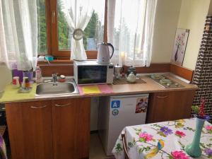 Пампорово Студио М хотел в Росица