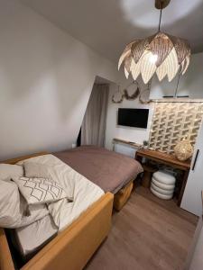 Rooms with fabulous view on Paris roofs