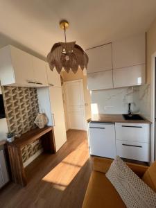 Rooms with fabulous view on Paris roofs