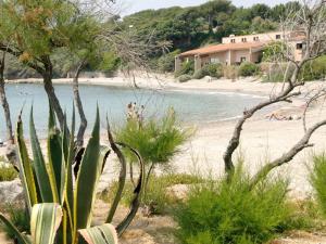 Appartements T3 climatise avec piscine, tennis et parking a 200m des plages - FR-1-316-252 : photos des chambres