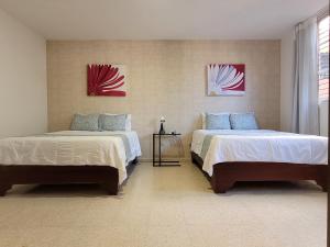 Drake Piantini Santo Domingo