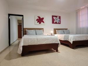 Drake Piantini Santo Domingo