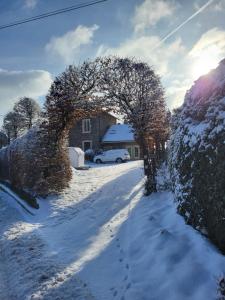 die alte schule-studio