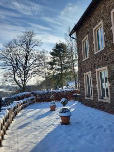 die alte schule-studio