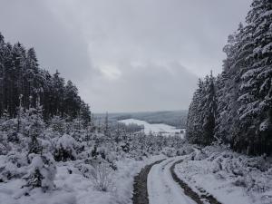 die alte schule-studio