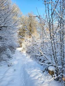 die alte schule-studio