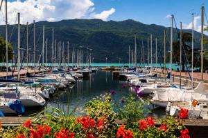 Appartements Residence Les Belles Rives E - Studio pour 2 Personnes 774 : photos des chambres
