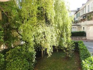 Appartements Residence Du Temple - Agreable studio, tres fonctionnel et bien agence ! MAE-7124 : photos des chambres