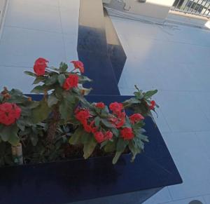 Nice studio on roof