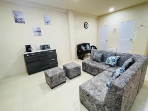 Alex Suite