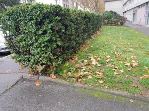 Parking privé,T1 bis, 10mn Lyon centre