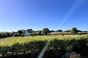 Maisons de vacances Field house : photos des chambres