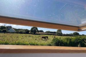 Maisons de vacances Field house : Maison 2 Chambres