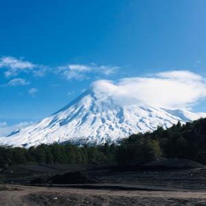 Ciervo Cabaña, Ensenada Campestre