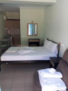 AGIOS NIKITAS DOLPHINS