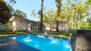 Olivia del caribe suite