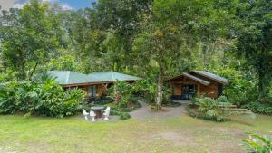 Eden Organic Farm & Bungalows