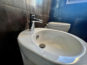 HomingPisa - Gemini Two