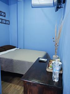 LA CASA AZUL DE SAMARA