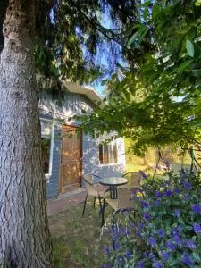 Cabaña Cunco Los Alamos a 300 metros del Centro - Cunco