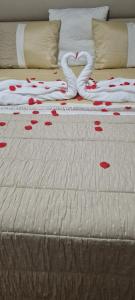 Casa O Arco Alojamento Local