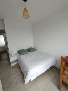 Appartements Appartement Courbaril a Nantes (6) : photos des chambres