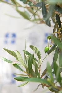 Inglesinhos - Castelo