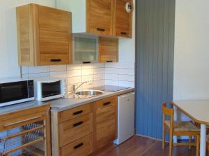 2 Pièces Sud-Est Chamonix, Parking & Animaux admis - FR-1-517-54