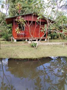 Cabañas Los Laguitos Rio Celeste
