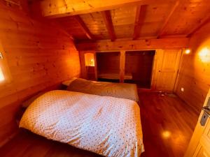 Chalet traditionnel avec garage double et terrasse - FR-1-459-227