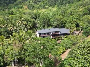 Daintree Riverfalls - Cape Tribulation