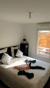 Appartements Au coin du souffle 3 pieces au pied du Tram T2 : photos des chambres