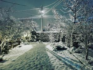 Aerport - Natura Apartment