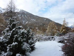 Résidence Orr Des Forets - Studio 4 personnes en rez de jardin MAE-0794