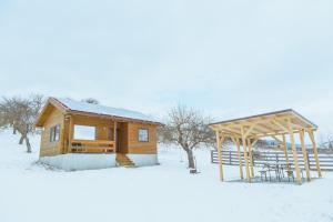 Country Garden - Országkert