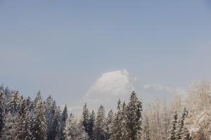 Ferienhaus Streif LXL