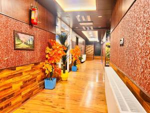 Pine View Resort